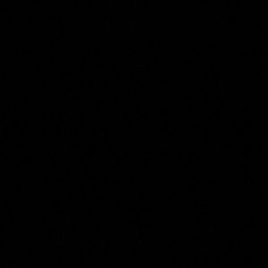 Meet your Posher, Ashleigh